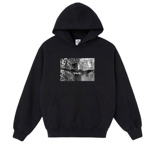 Polar Skate Co Sustained Disintegration Ed hoodie black