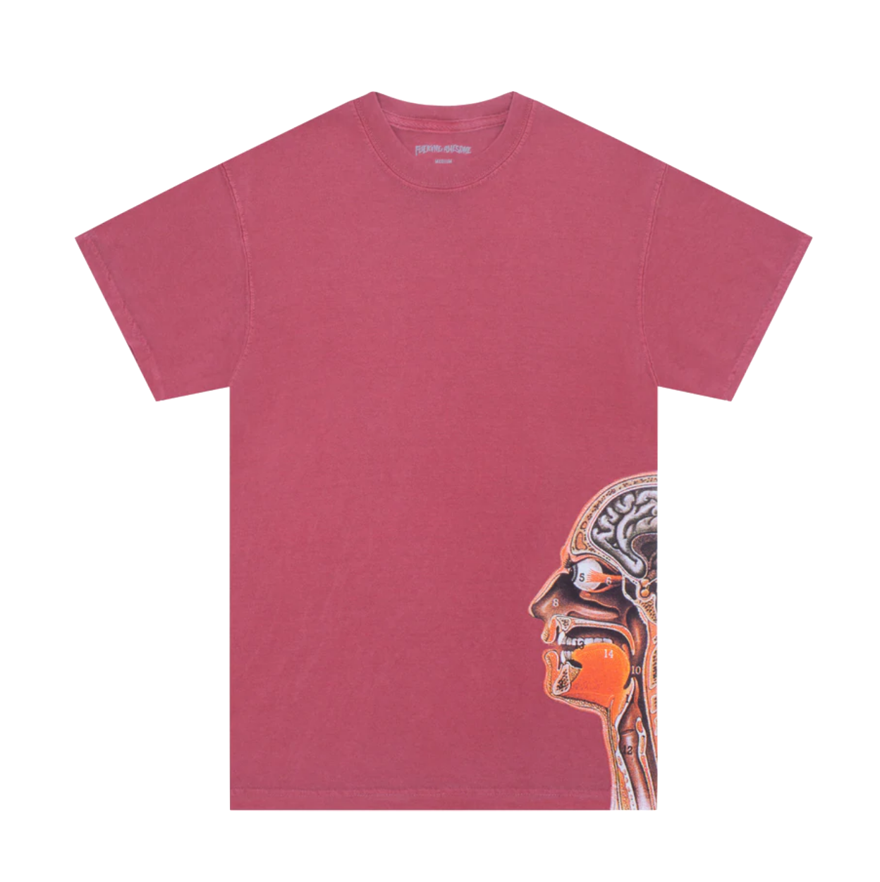 Fucking Awesome tee Anatomy maroon