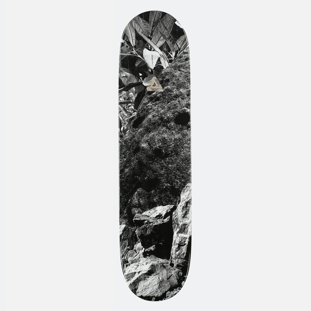 Palace deck Danny Brady Pro S29 8.1"