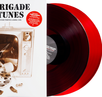 Bones Brigade Video Tunes vinyl soundtrack LP
