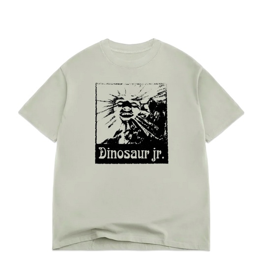 Color Bars Dinosaur Jr Sun tee sage
