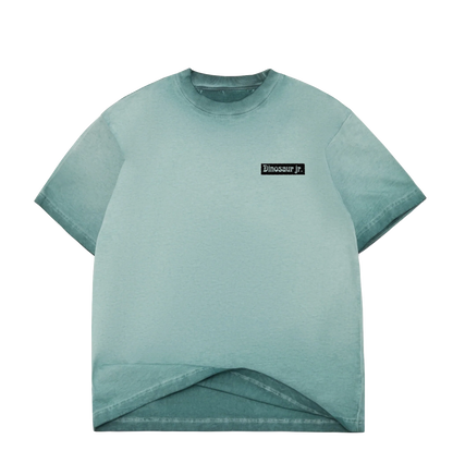 Color Bars Dinosaur Jr Weirdness tee jasper oil wash
