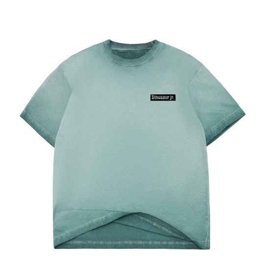 Color Bars Dinosaur Jr Weirdness tee jasper oil wash