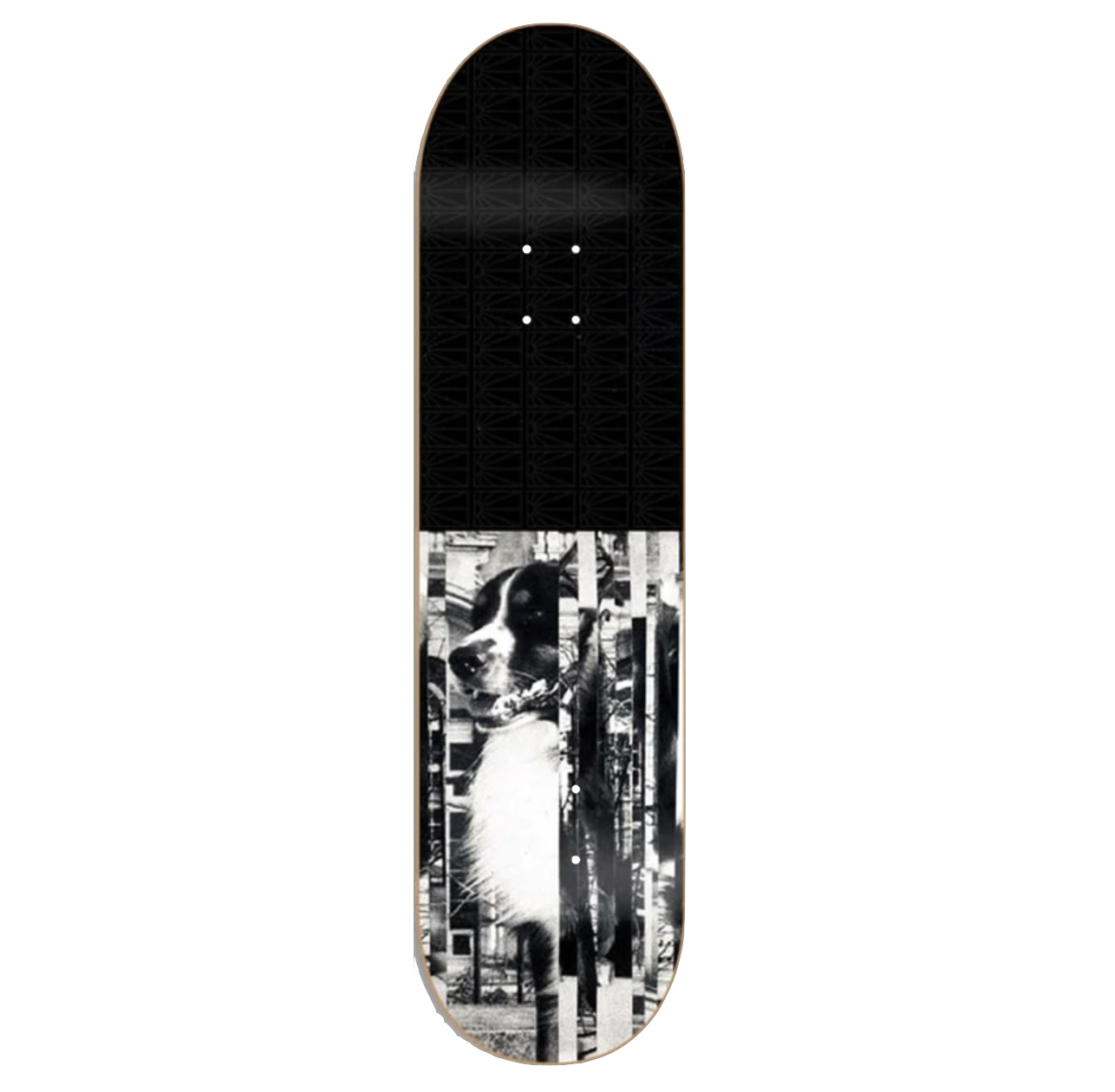 Rassvet Val Bauer deck Pro FA24 8.25"