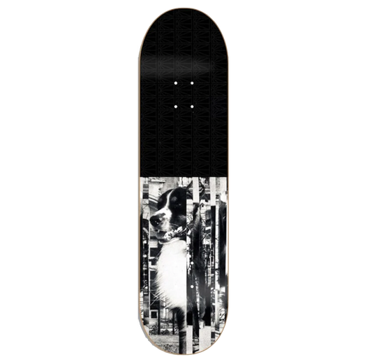 Rassvet Val Bauer deck Pro FA24 8.25"
