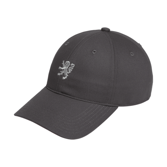 adidas X Wall Street X OL cap grey