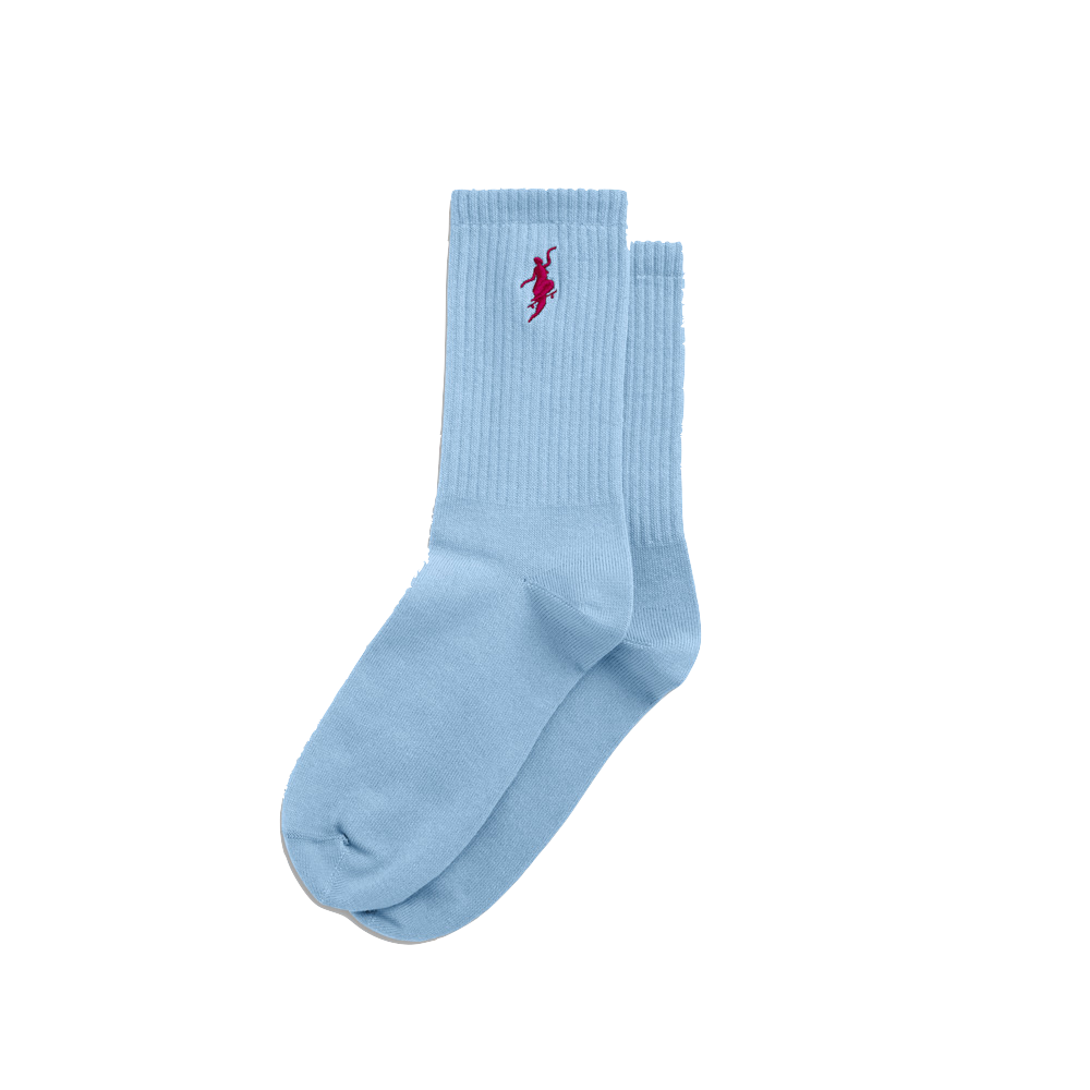 Polar Skate Co No Comply socks light blue cherry