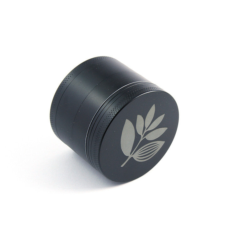 Magenta grinder Plant black