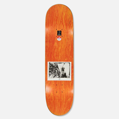 Polar deck Paul Grund Man With Window 8.25"